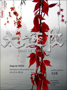 Taichi_decembre_2015-01